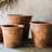 Keilson Pot Planter-775222652