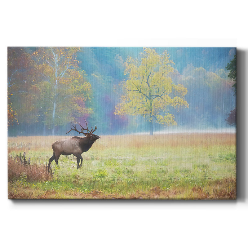 View At Rest IV-Gallery Wrapped Canvas, 8" H x 12" W