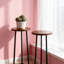 Ensemble de 2 plantes Mid-Century Modern