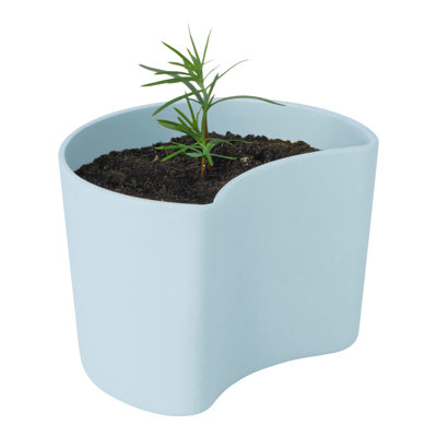 Pot Planter