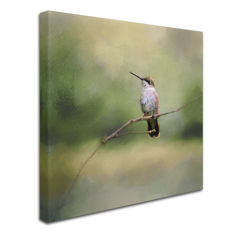 Tiny Visitor Hummingbird Canvas Art in Serene Colors
