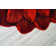 Tapis rouge Vesta