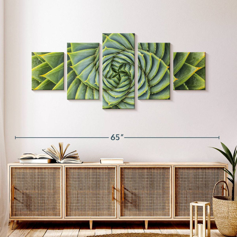 Plantes grasses en spirale, H 24 po x l 55 po
