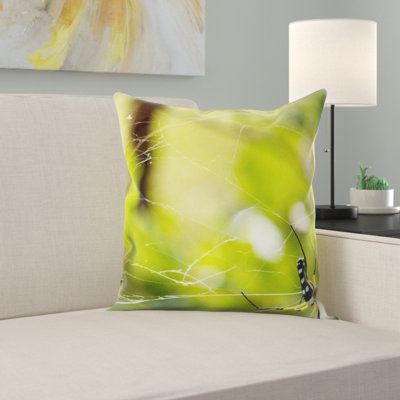 Coussin de spider