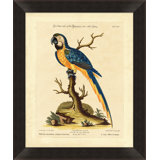 Blue Parrot Wall Art & Signage