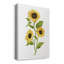 Tournesol Trio II - impression sur toile tendue-1239721289