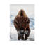 «Bison Incoming» par Peter Hudson - reproduction de photo sur toile tendue-1080297498