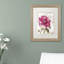 «Jadaya Pink Peony» par Color Bakery, impression encadrée-20487632-20487633-70689057