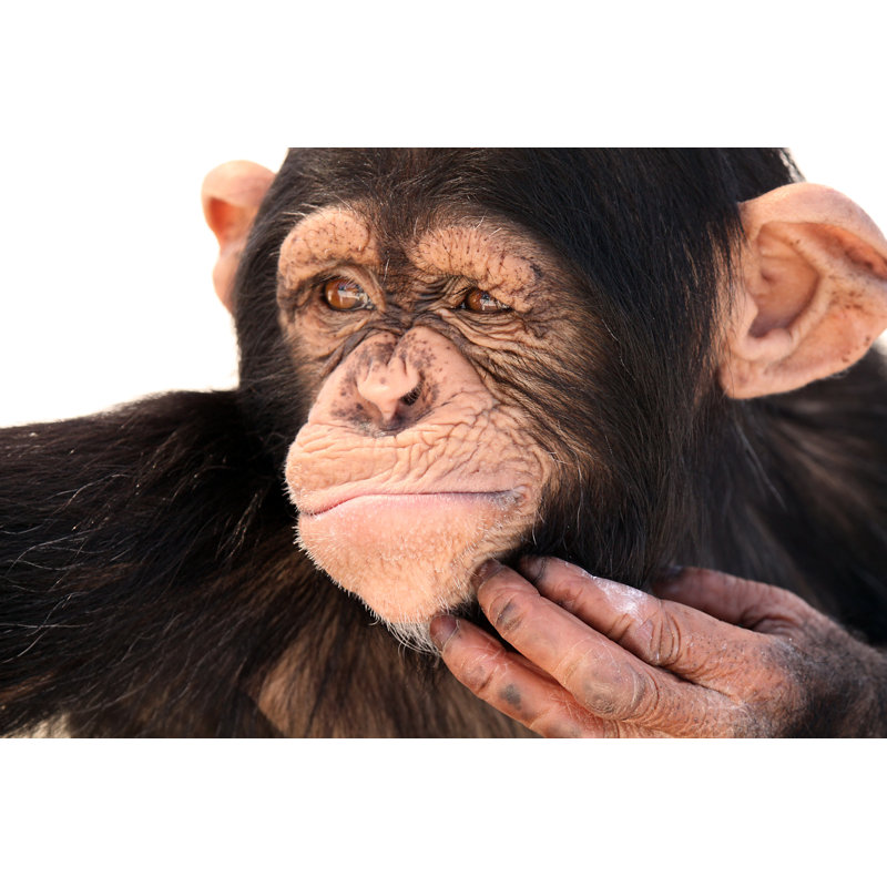 The Thinker - Wrapped Canvas Print, 30cm H x 46cm W