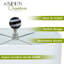 Lampe à fleuron-55835425