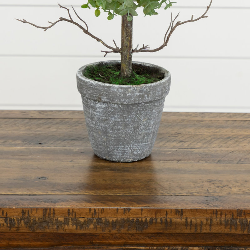 Topiaire d'eucalyptus artificiel en pot, H 24 po x l 6 po x P 6 po