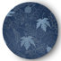 Blue/White