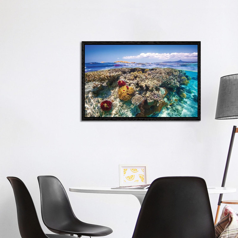 Mayotte The Reef by Barathieu Gabriel - Print on Canvas, 66.04cm H x 101.6cm W x 3.81cm D, Black Framed