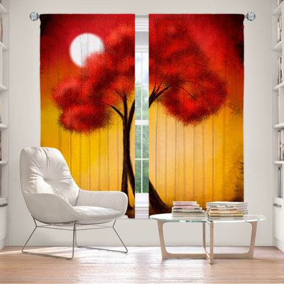 Roobert Room Darkening Curtain Pair