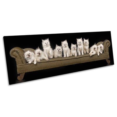 Cute Kitten Cats Sofa - Wrapped Canvas Panoramic Art Prints