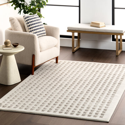 Daleyza Checkered Machine Washable Area Rug