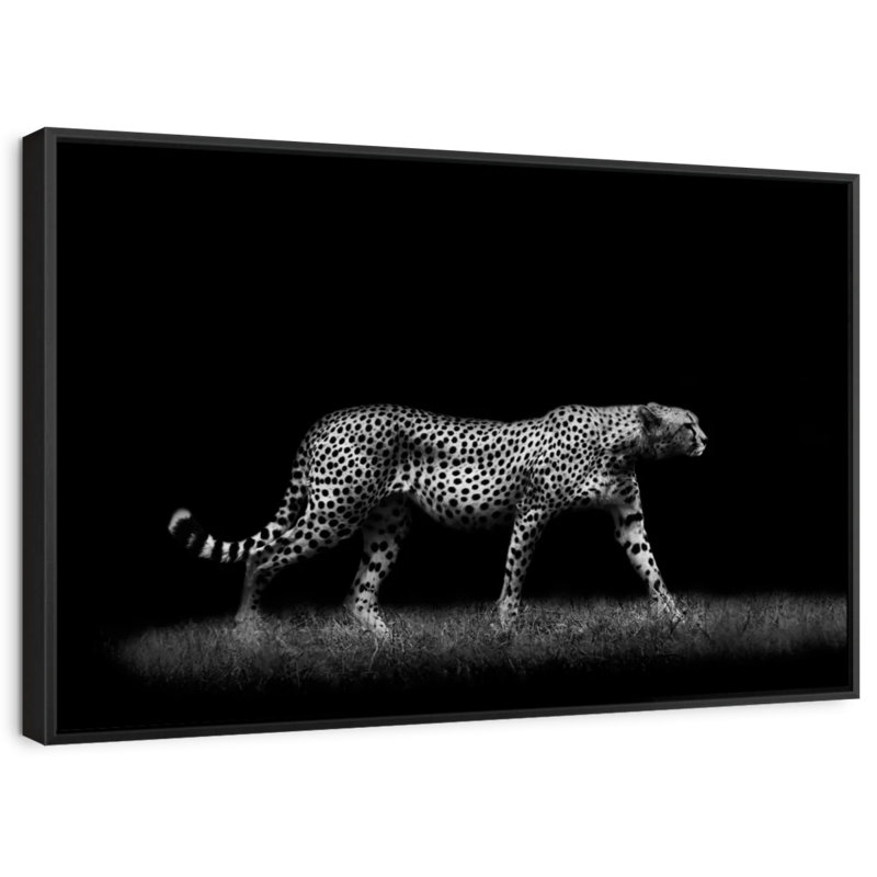 Animal "Impression sur toile monochrome", H 17 po x l 25 po