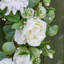 Dried 66cm Wreath