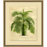 Island Palm III Painting