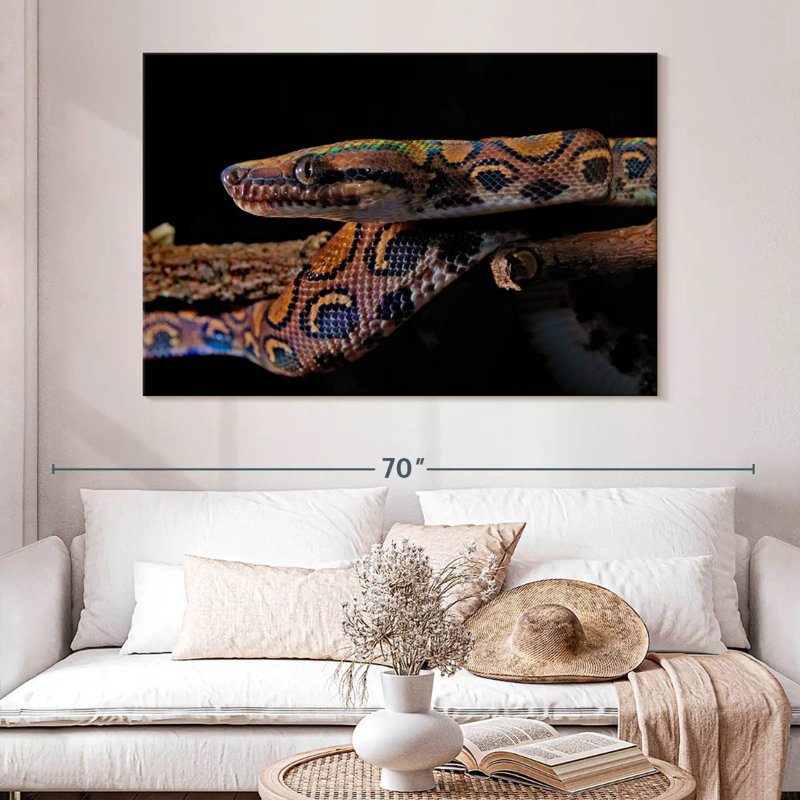 Brampt Rainbow Boa Snake, 8" H x 12" W