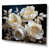 Toile tendue