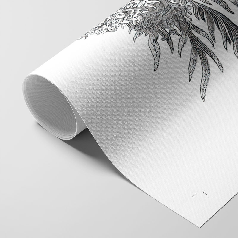B&W Plant Spechantillon III - Impression sur toile seulement - NON-CADRE, H 27 po x l 18 po