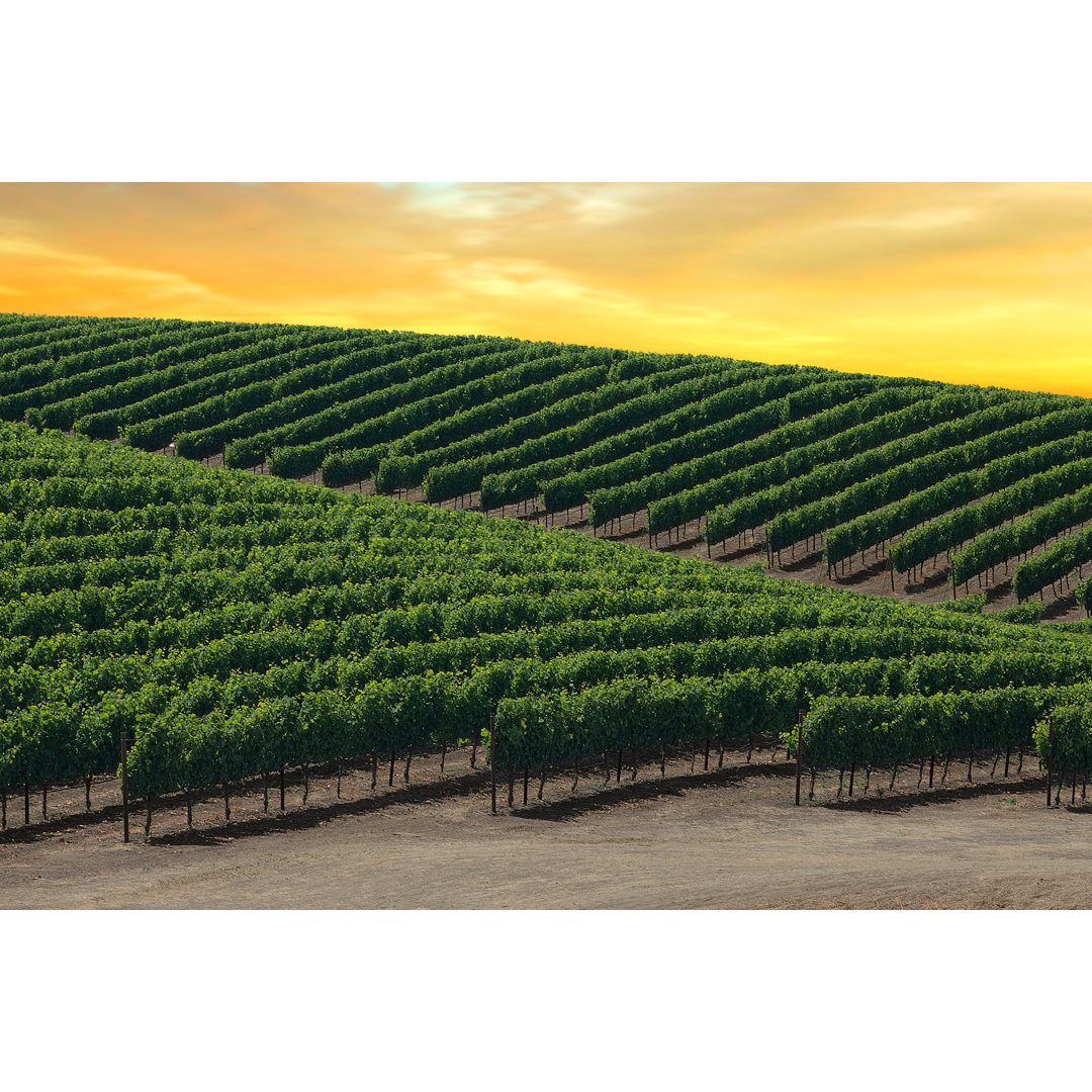 Napa Valley von Left_Coast_Photographer - Kunstdrucke auf Leinwand