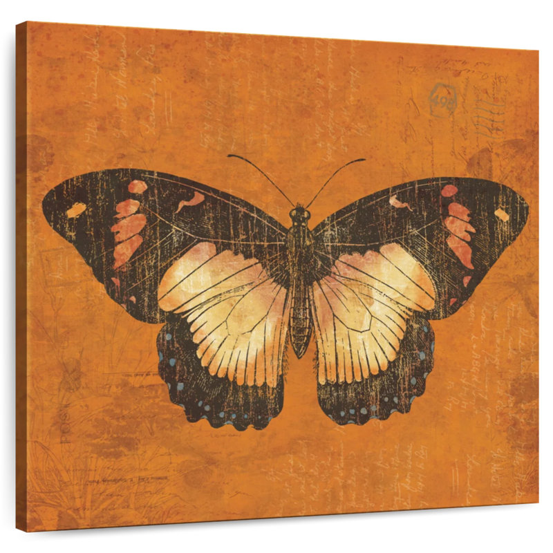 Crowle abricot papillon, H 33 po x l 33 po