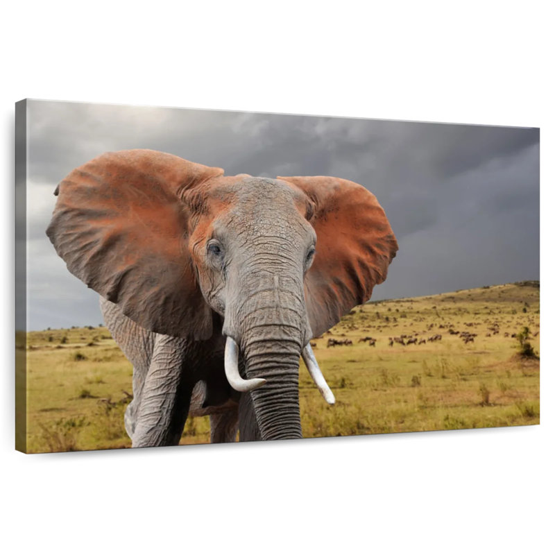 Brampt African Elephant, 34" H x 51" W