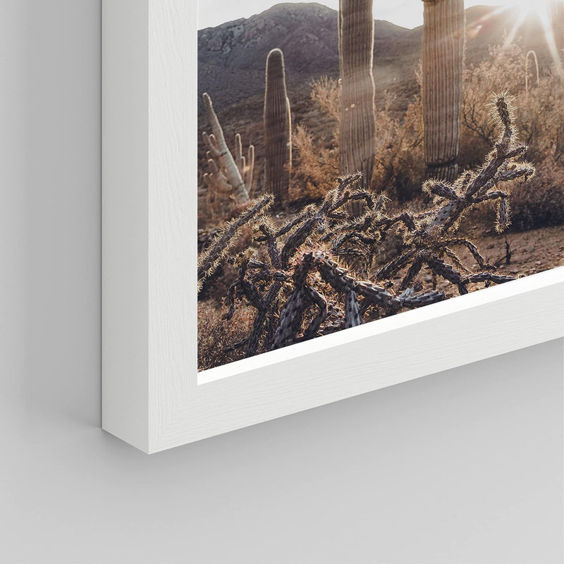 «Cactus Desert Landscape», reproduction encadrée de 4 pièces, H 16 po x l 12 po x P 1 po, Cadre blanc