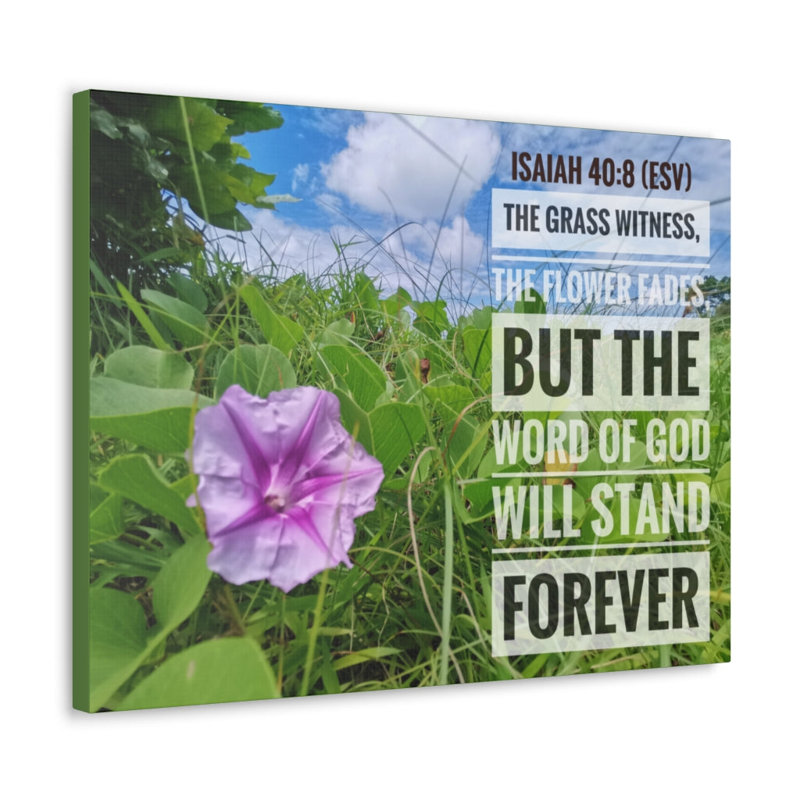 No Frame Print on Canvas, 45.72cm H x 60.96cm W