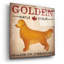 «Golden Dog At Show» par Ryan Fowler-1539950263