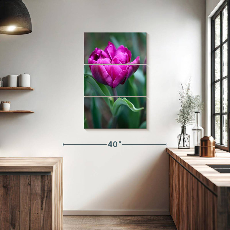 Harnek tulipe fuchsia, H 38 po x l 24 po