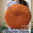  Velvet Round Throw Pillow for Sofa Decor 18-Inch (Set of 2)-732722234