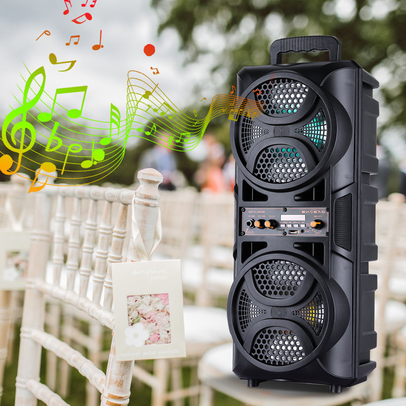 Haut-parleur portable sans fil Bluetooth avec double caisson de basses de 6,5 pouces, système de haut-parleurs de sonorisation avec microphone câblé, télécommande, radio FM, lumières de fête