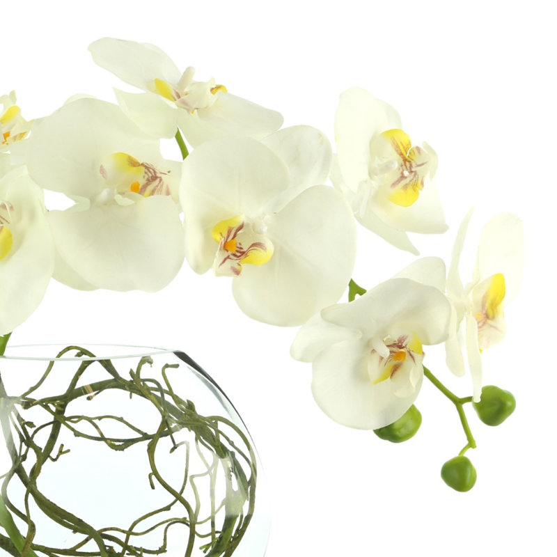 Orchid Arrangement in Round Glass Vase with Vines, White