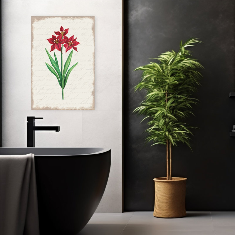 Amaryllis rouge botanique II, 24" H x 16" W