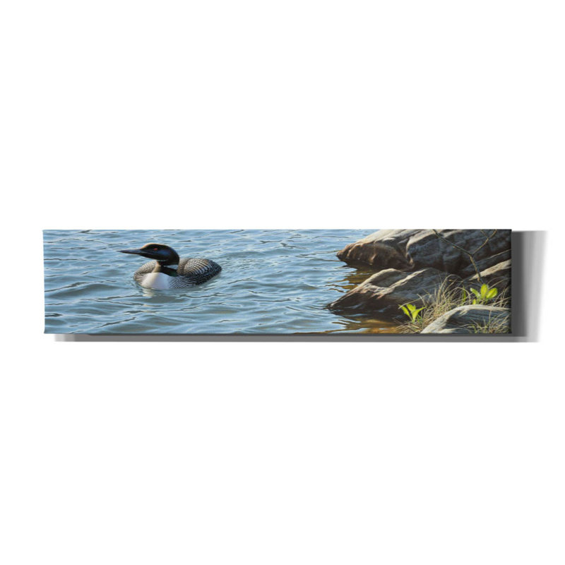 «On The Rocks - Loon» par Mark Mueller, art animalier, H 12 po x l 36 po x P 1,5 po