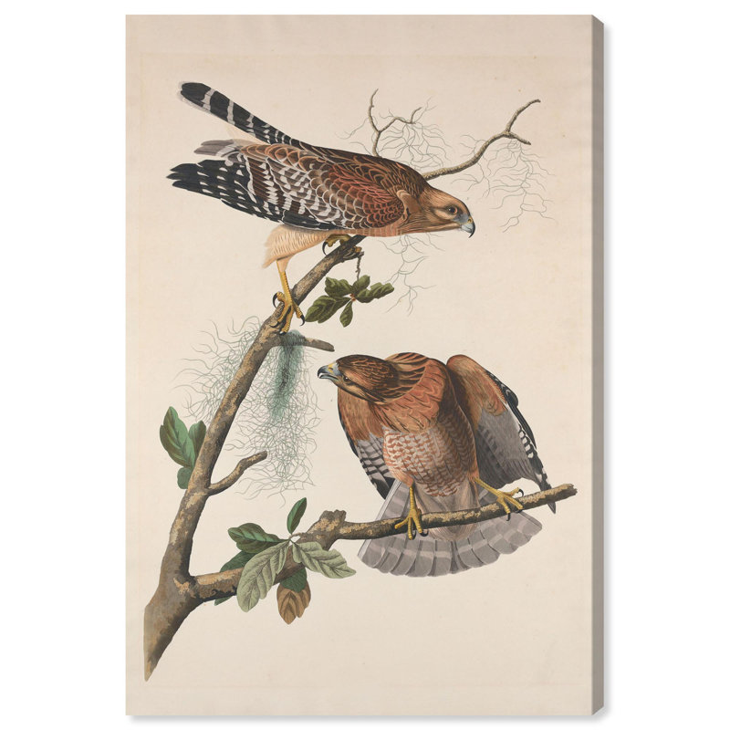 «Watchful pair», reproduction d'art sur toile par Art Remedy, Toile tendue avec châssis, H 45 po x l 30 po