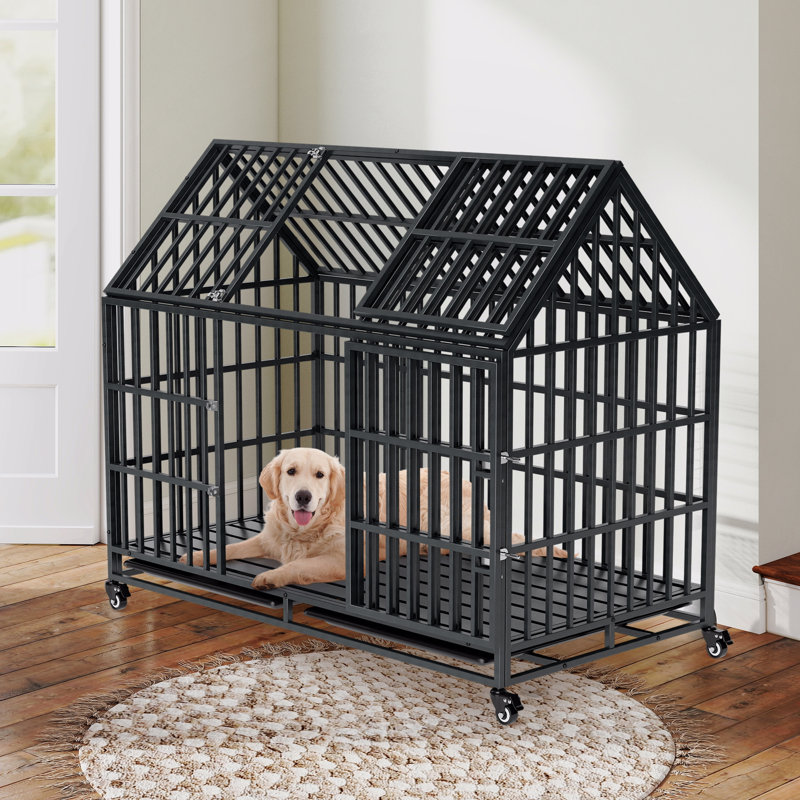 Cage pour chien robuste 52 po avec toit