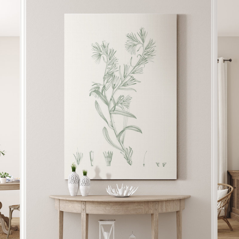 «Botanical Study in Sage II», reproduction d'art sur toile tendue, H 27 po x l 18 po x P 1 po