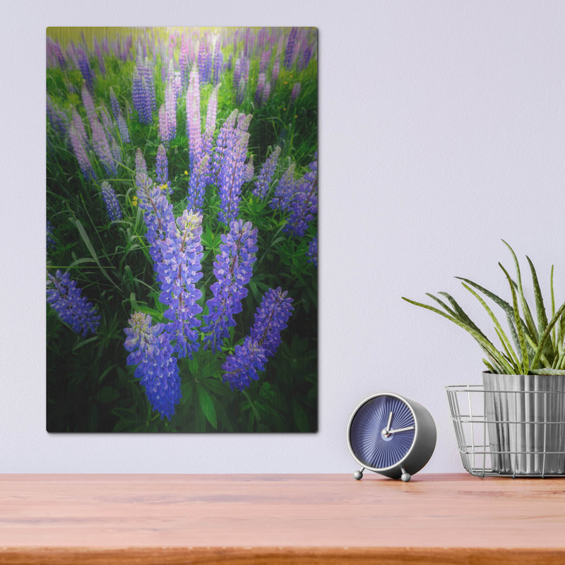 Mur de métal «Lupins» par Rick Berk, H 16 po x l 12 po