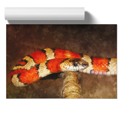 King Snake - No Frame Print