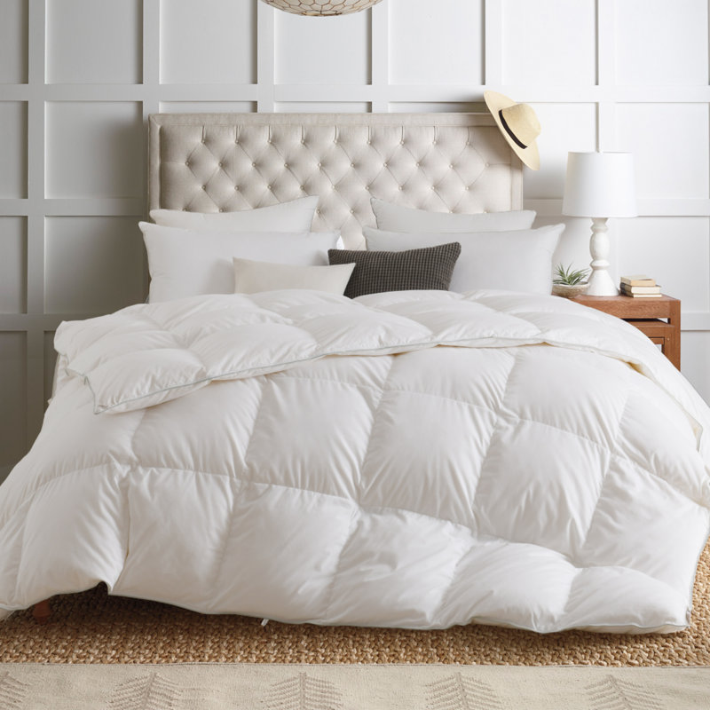 Irene Winter Down Blend Down Comforter, Twin