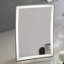 Entice Modern & Contemporary Lighted Magnifying Makeup/Shaving Mirror