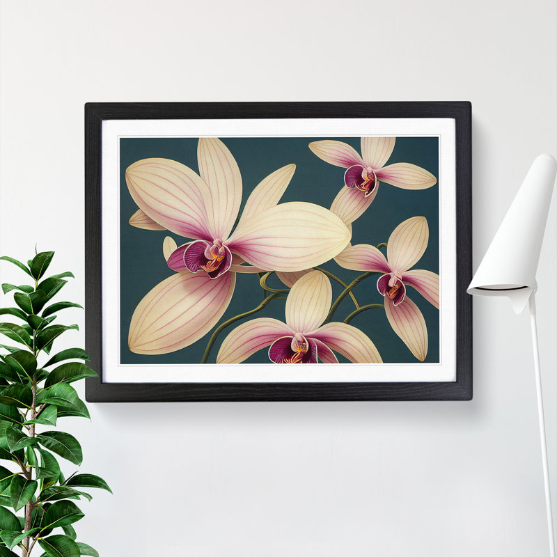 Wonderful Orchid Flowers - Single Picture Frame Painting, Black, 34cm H x 46cm W x 2cm D