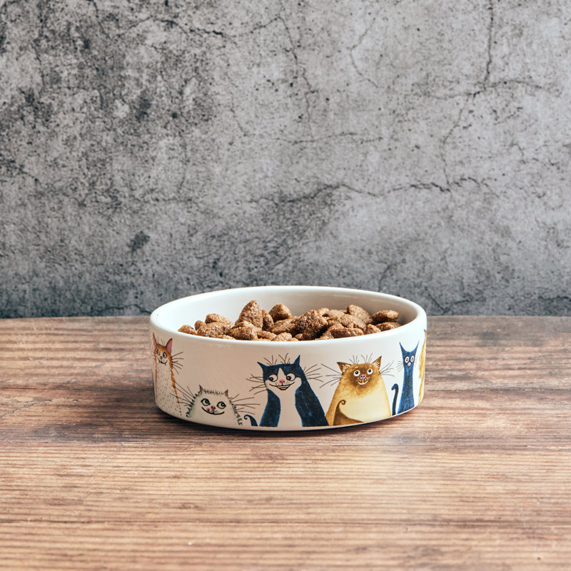 From Wags to Whiskers Cat Bowl