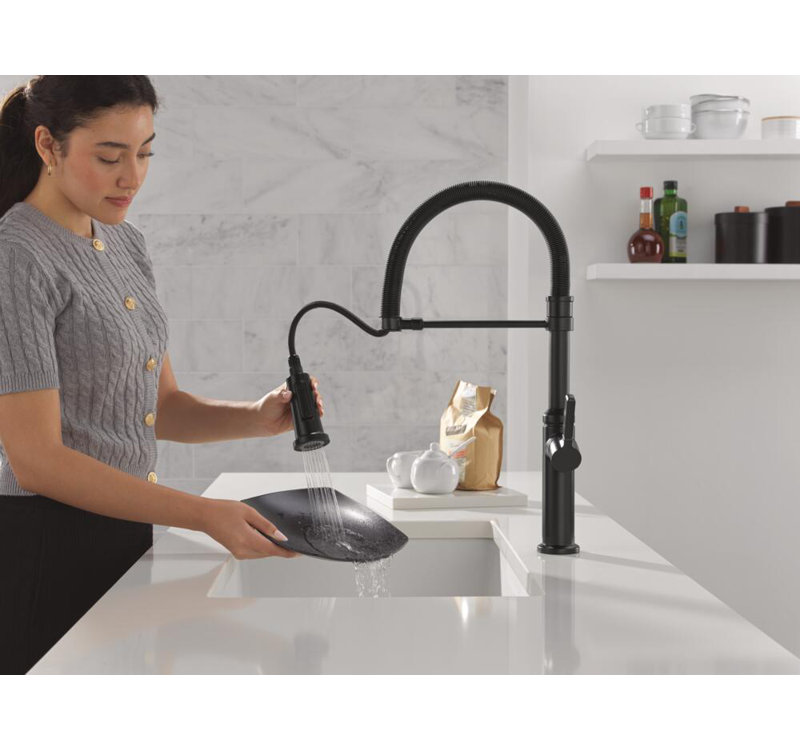 Robinet de cuisine Rhett Pro, Noir mat