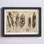 «Quill», impression-22591602-22591609