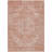 Machine Washable Indoor/Outdoor Chayden ACN1104 Coral Rug-100136609